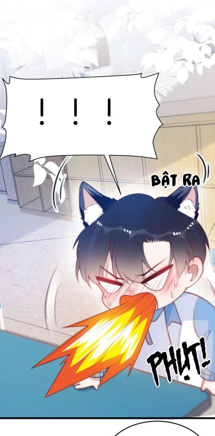 Tiểu Dã Miêu Của Học Bá Thật Trêu Người Chapter 4 - Next Chapter 5