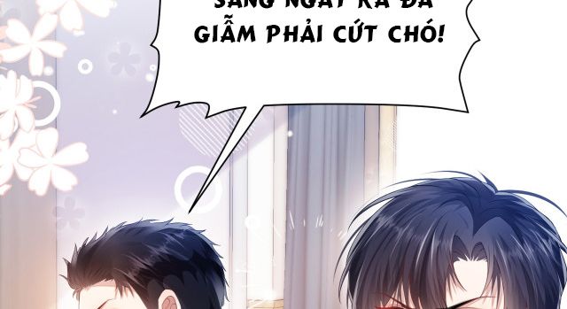 Tiểu Dã Miêu Của Học Bá Thật Trêu Người Chapter 5 - Next Chapter 6