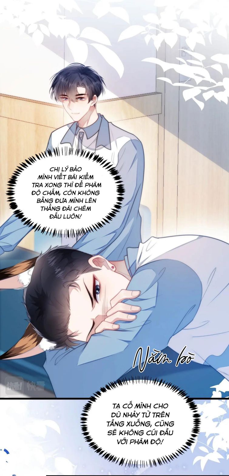 Tiểu Dã Miêu Của Học Bá Thật Trêu Người Chapter 6 - Next Chapter 7