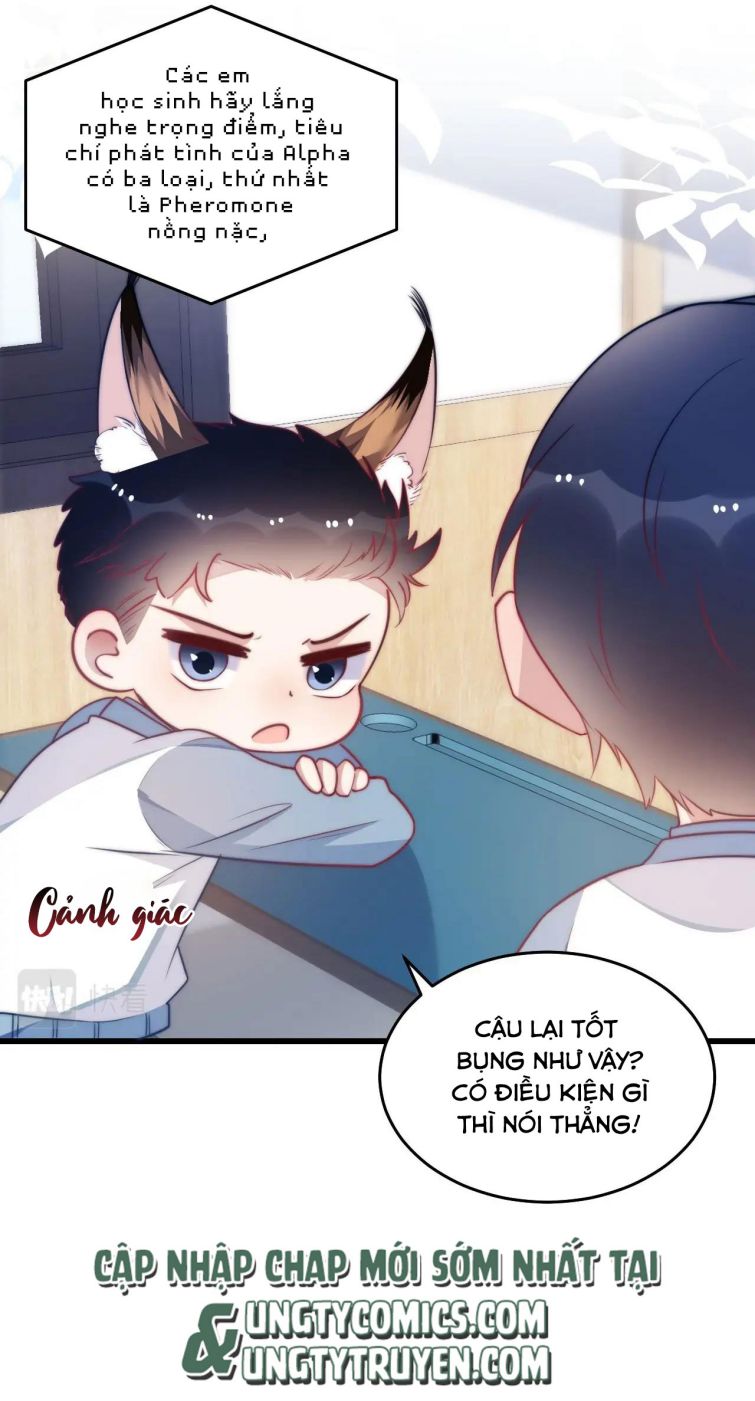 Tiểu Dã Miêu Của Học Bá Thật Trêu Người Chapter 6 - Next Chapter 7