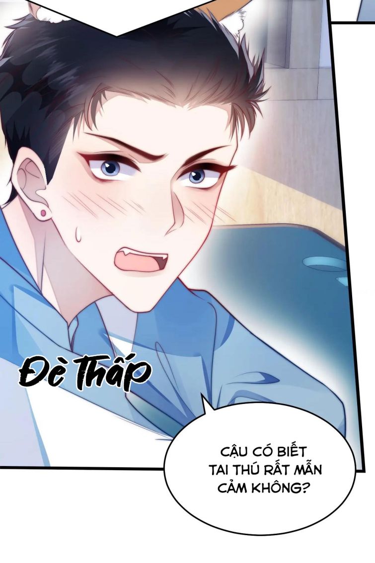 Tiểu Dã Miêu Của Học Bá Thật Trêu Người Chapter 6 - Next Chapter 7