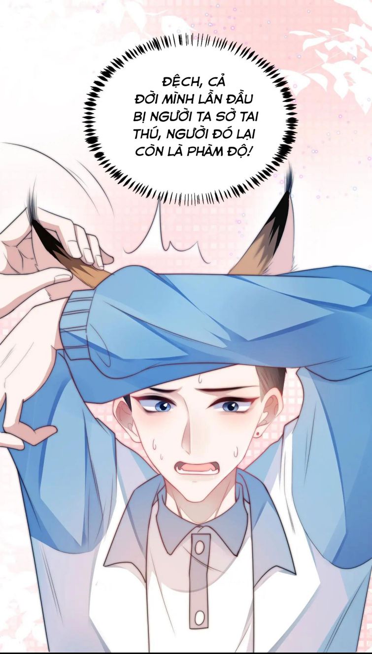 Tiểu Dã Miêu Của Học Bá Thật Trêu Người Chapter 6 - Next Chapter 7
