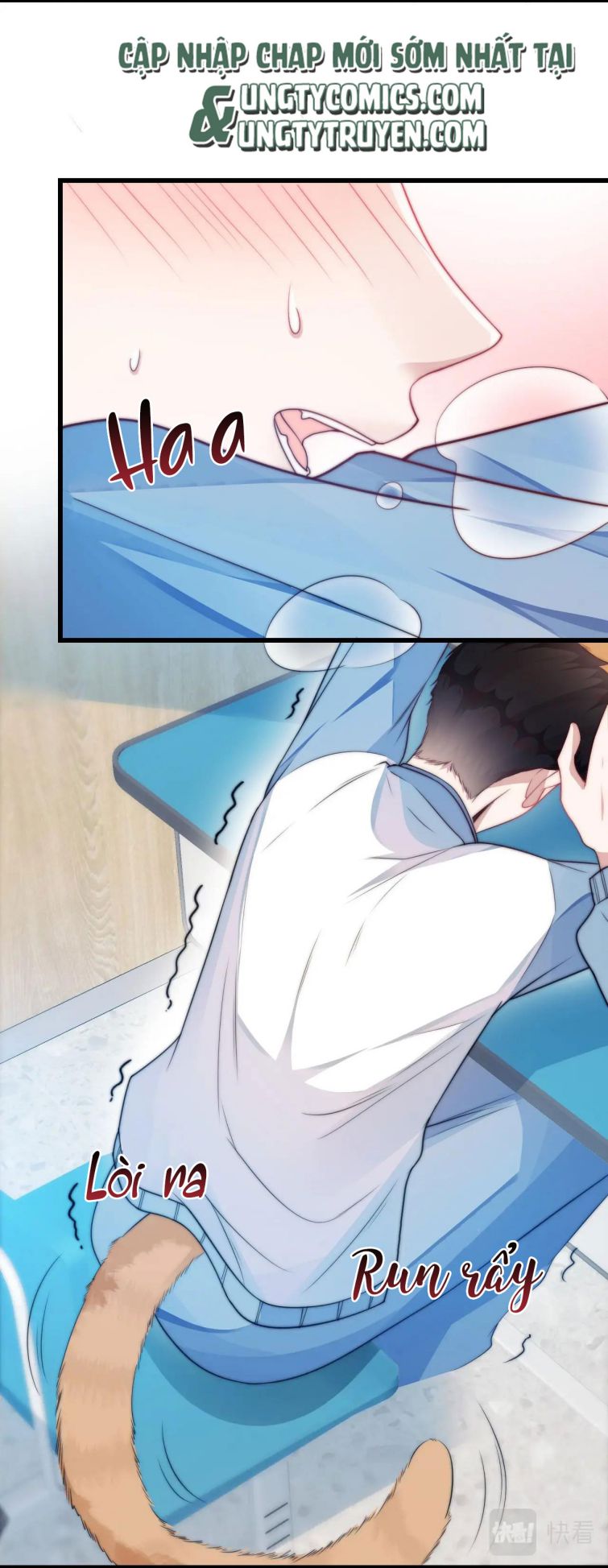 Tiểu Dã Miêu Của Học Bá Thật Trêu Người Chapter 6 - Next Chapter 7