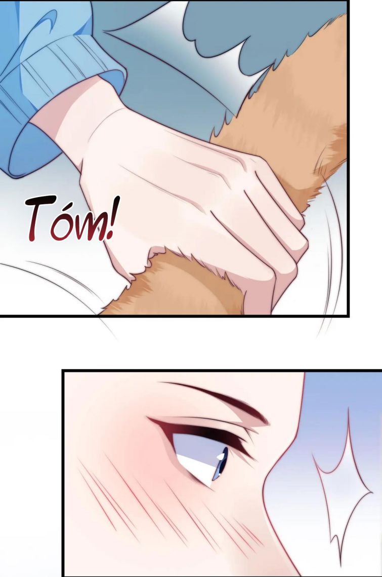 Tiểu Dã Miêu Của Học Bá Thật Trêu Người Chapter 6 - Next Chapter 7