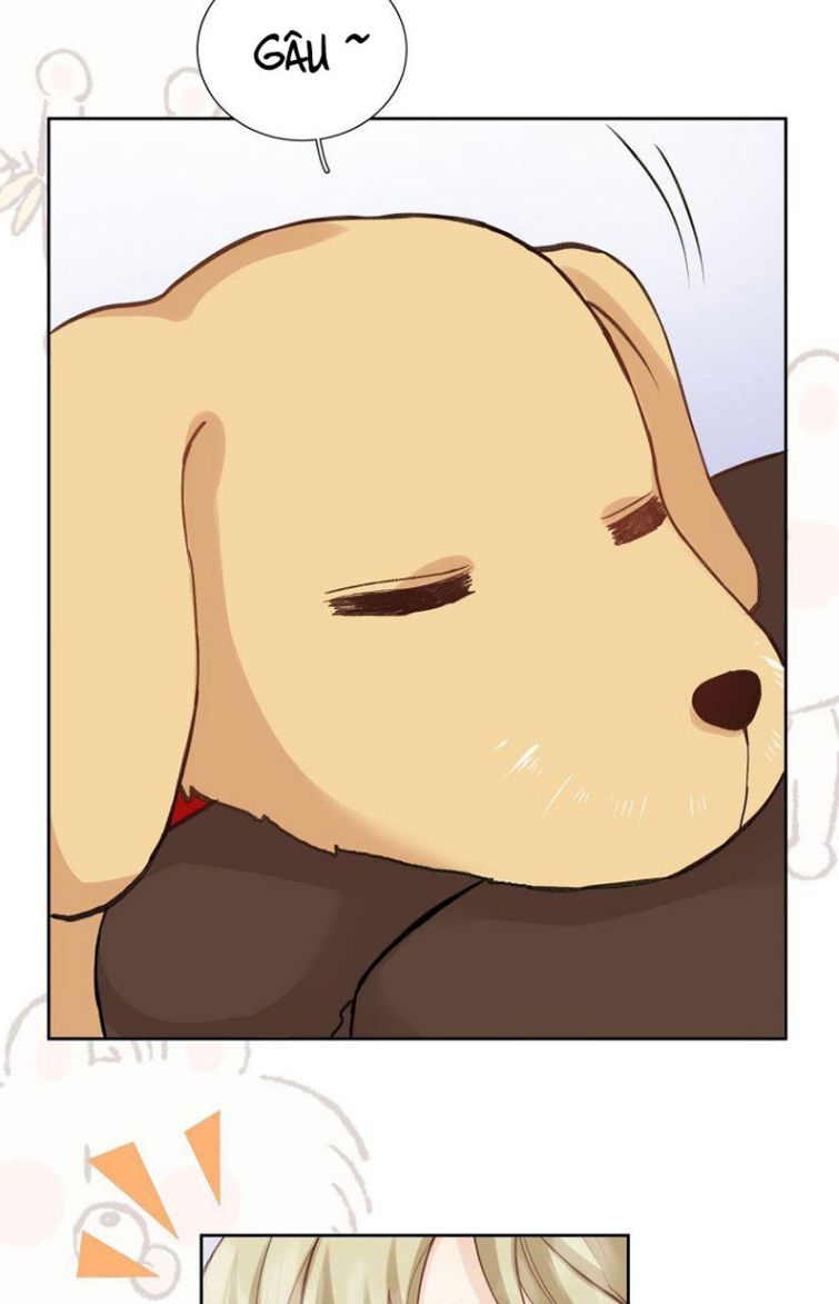 Tôi Hoài Nghi Em Yêu Thầm Tôi Chap 37 - Next Chap 38