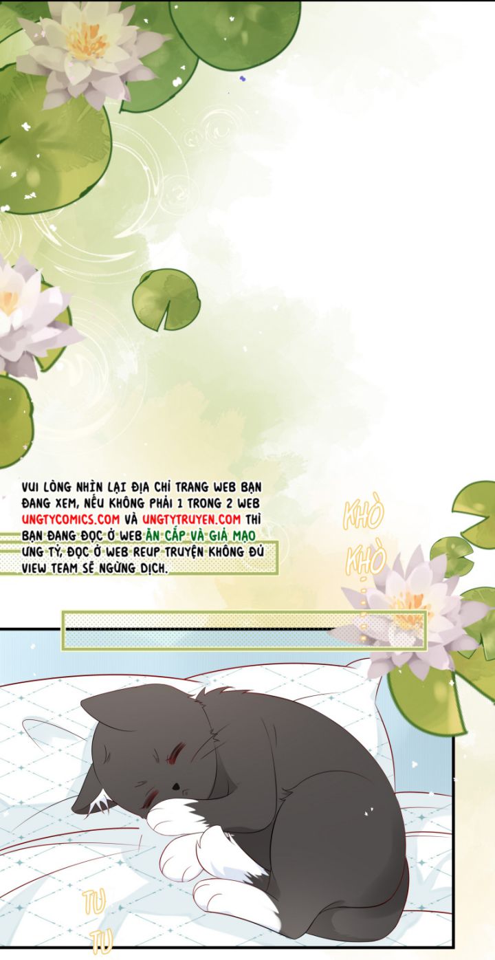Dinh Dưỡng Quá Tốt Chapter 8 - Next Chapter 9