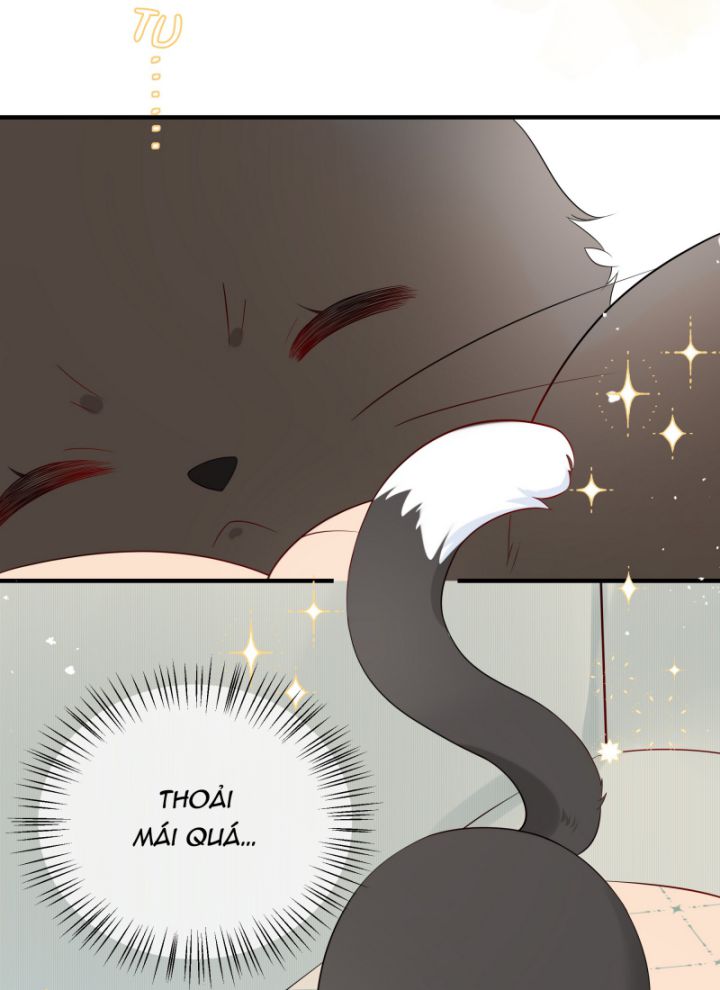 Dinh Dưỡng Quá Tốt Chapter 8 - Next Chapter 9