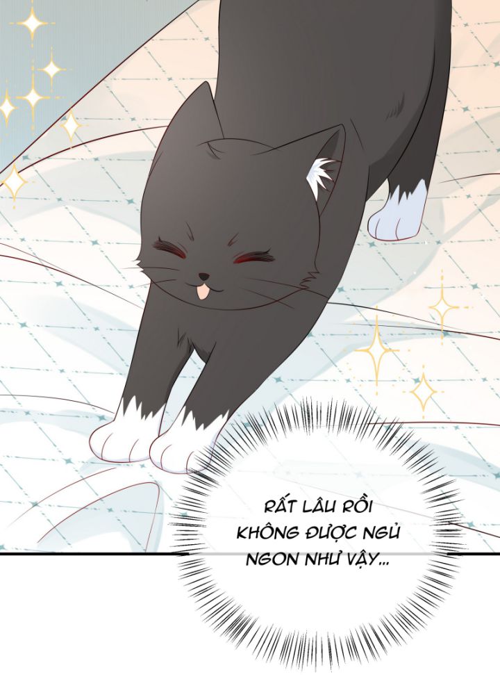 Dinh Dưỡng Quá Tốt Chapter 8 - Next Chapter 9