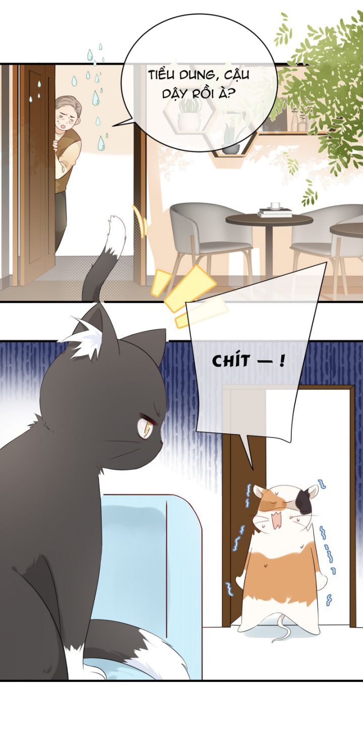 Dinh Dưỡng Quá Tốt Chapter 8 - Next Chapter 9