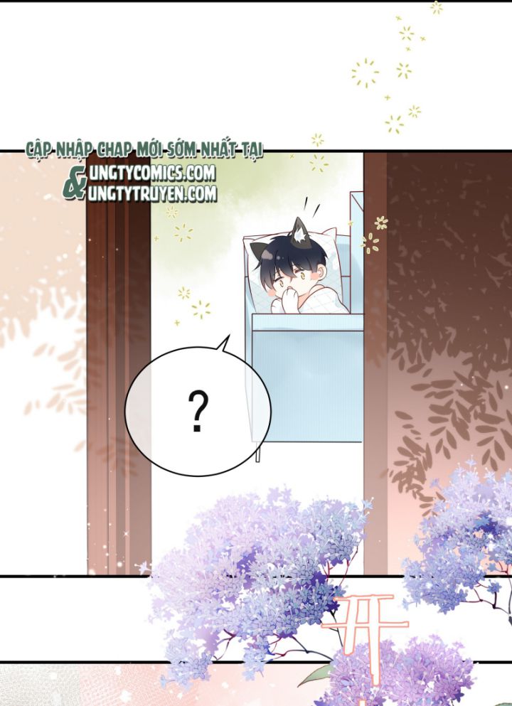 Dinh Dưỡng Quá Tốt Chapter 8 - Next Chapter 9