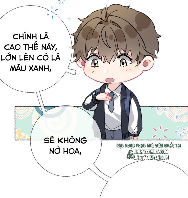 Công Lược Đối Tượng Sai Rồi Chap 24 - Next Chap 25