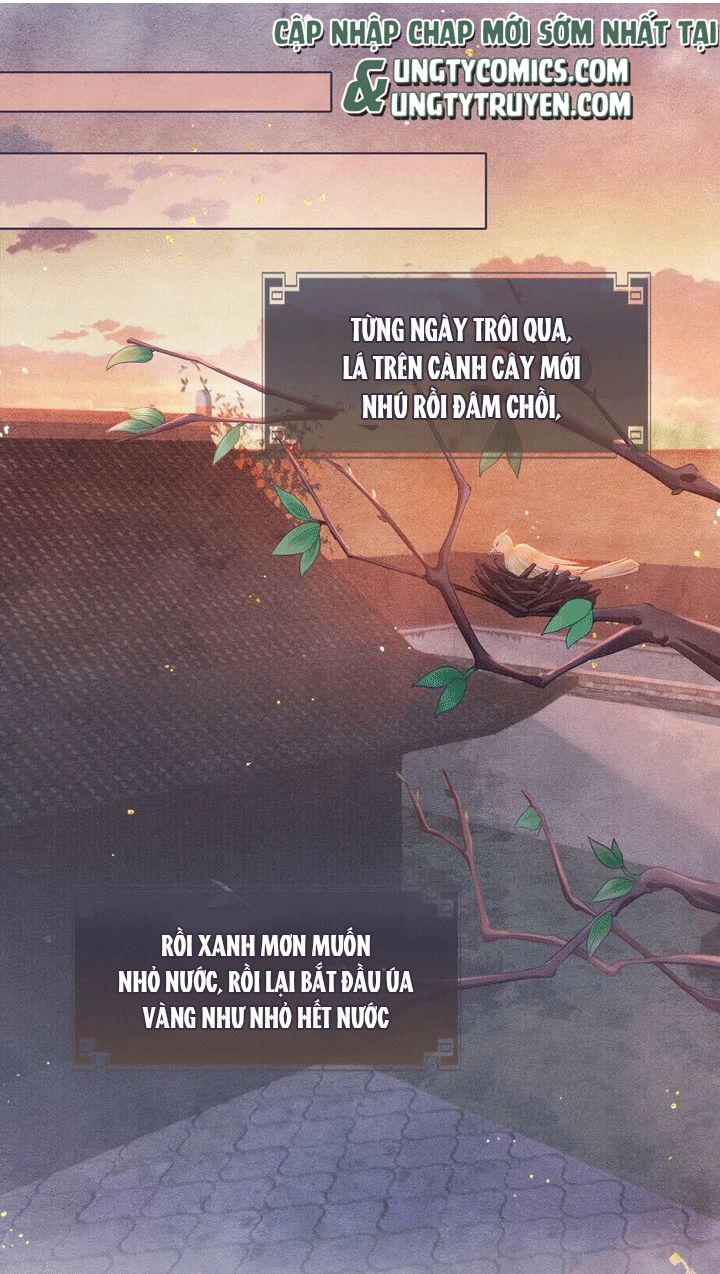 Tướng Quân Lệnh Chapter 53 - Next Chapter 54