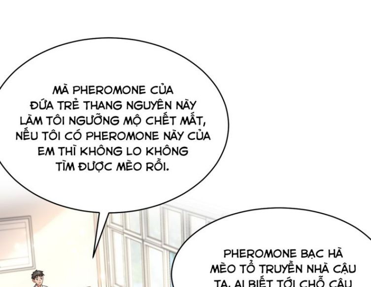 Tín Tức Tố Nói Chúng Ta Không Thể Chap 33 - Next Chap 34