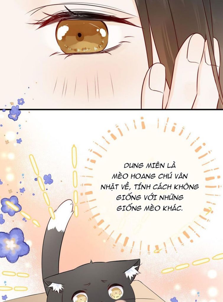 Dinh Dưỡng Quá Tốt Chapter 12 - Next Chapter 13
