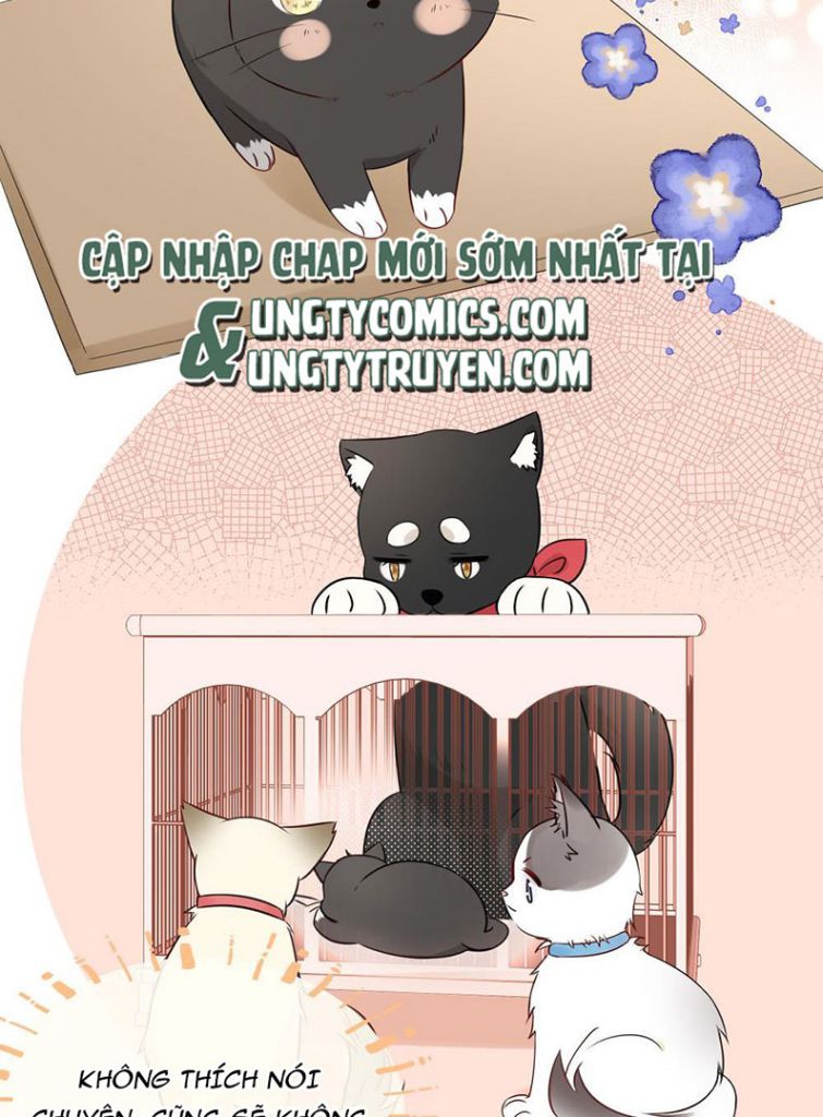 Dinh Dưỡng Quá Tốt Chapter 12 - Next Chapter 13