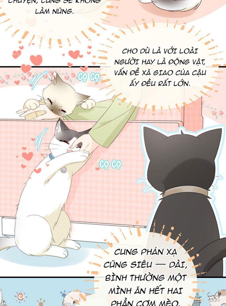 Dinh Dưỡng Quá Tốt Chapter 12 - Next Chapter 13