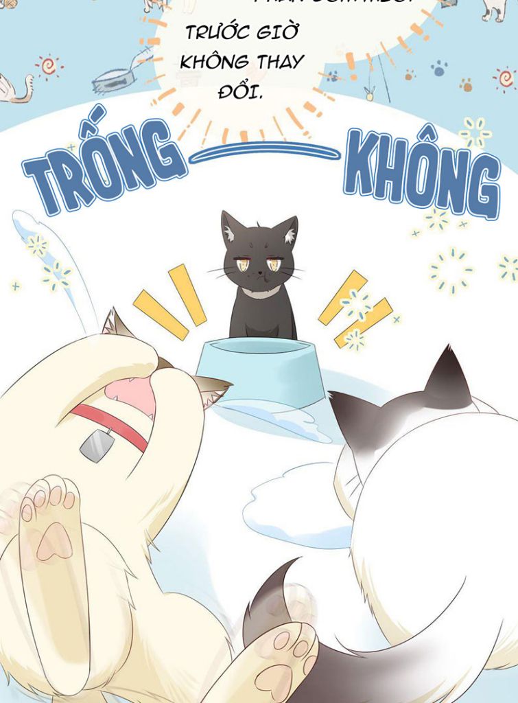 Dinh Dưỡng Quá Tốt Chapter 12 - Next Chapter 13