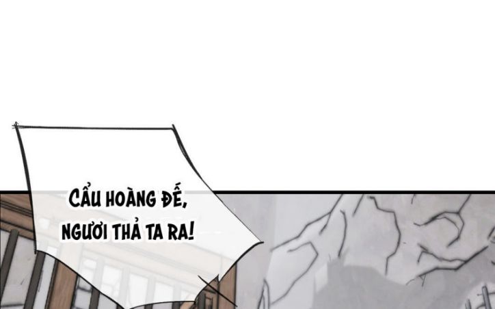 Những Người Đàn Ông Ở Rể Chap 12 - Next Chap 13