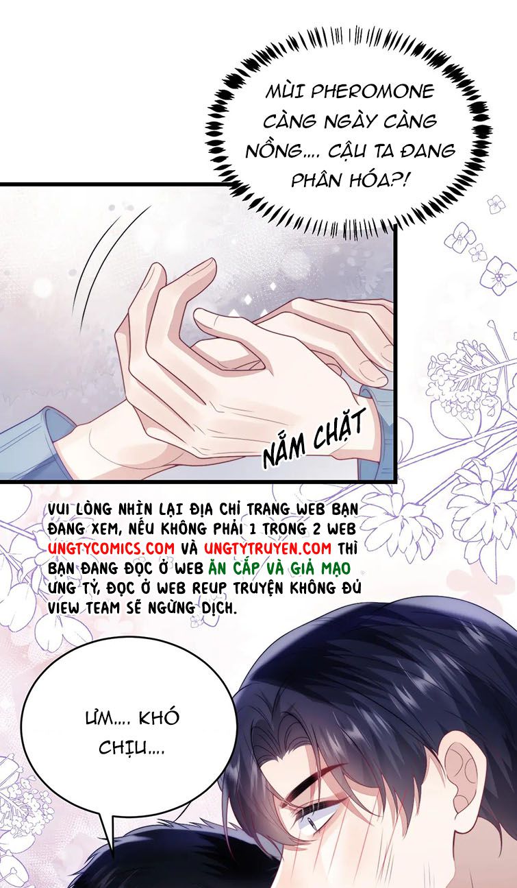 Tiểu Dã Miêu Của Học Bá Thật Trêu Người Chapter 23 - Next Chapter 24