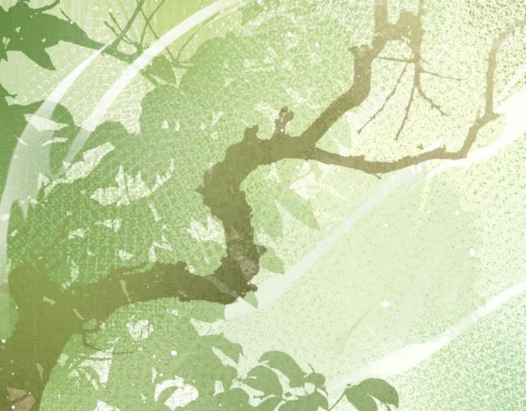 Ngộ Xà Chap 66 - Next Chap 67