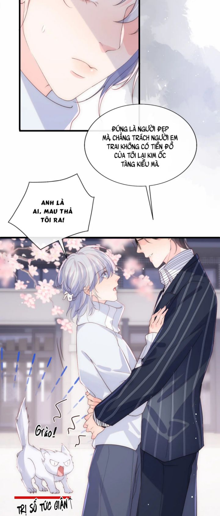 Các Nguyên Soái Đồng Thời Náo Ly Hôn Chap 19 - Next Chap 20