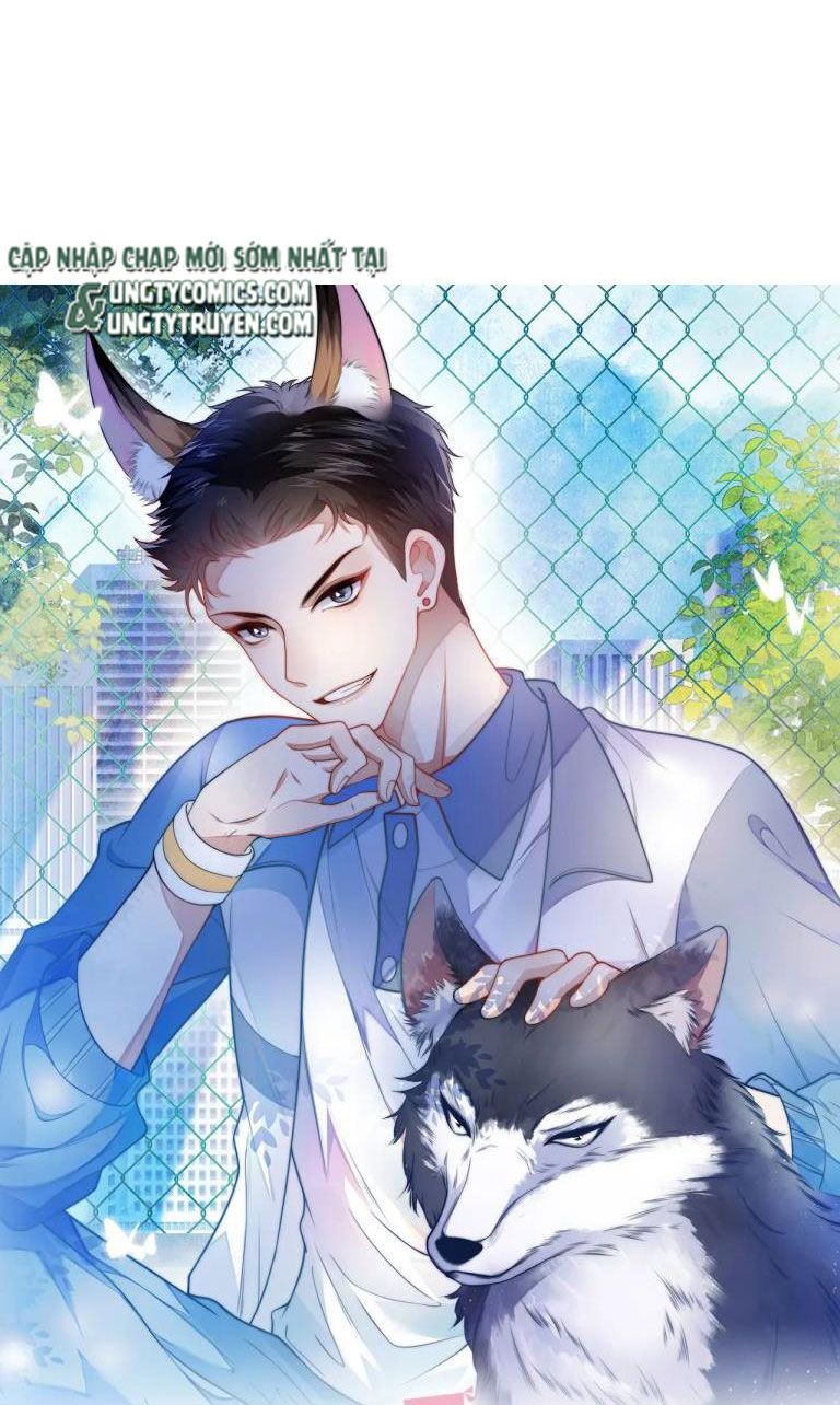 Tiểu Dã Miêu Của Học Bá Thật Trêu Người Chap 26 - Next Chap 27