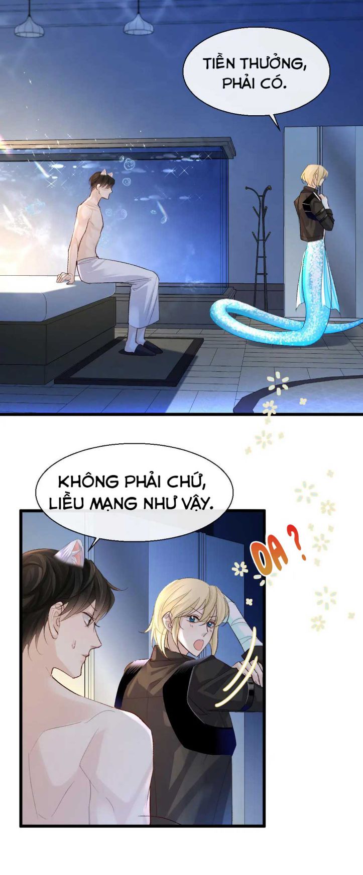 Nhân Ngư Rơi Xuống Chapter 27 - Next Chapter 28