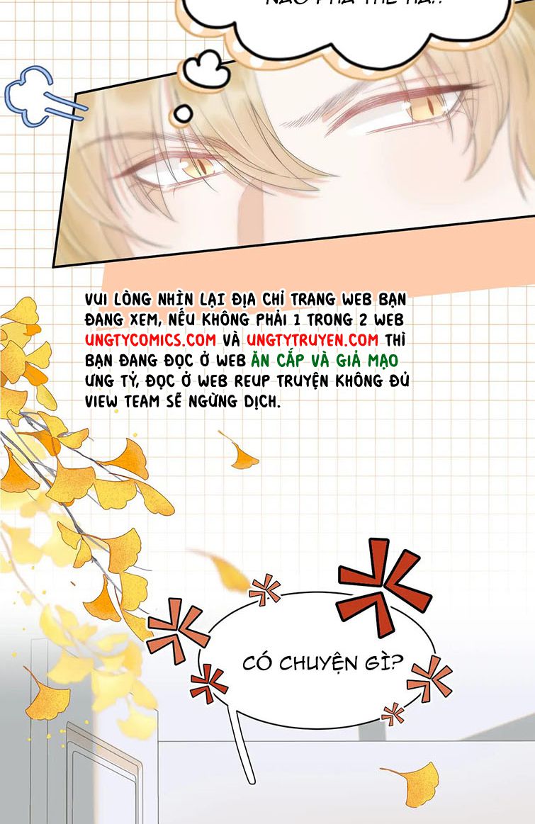 Một Ngụm Ăn Thỏ Chap 62 - Next Chap 63