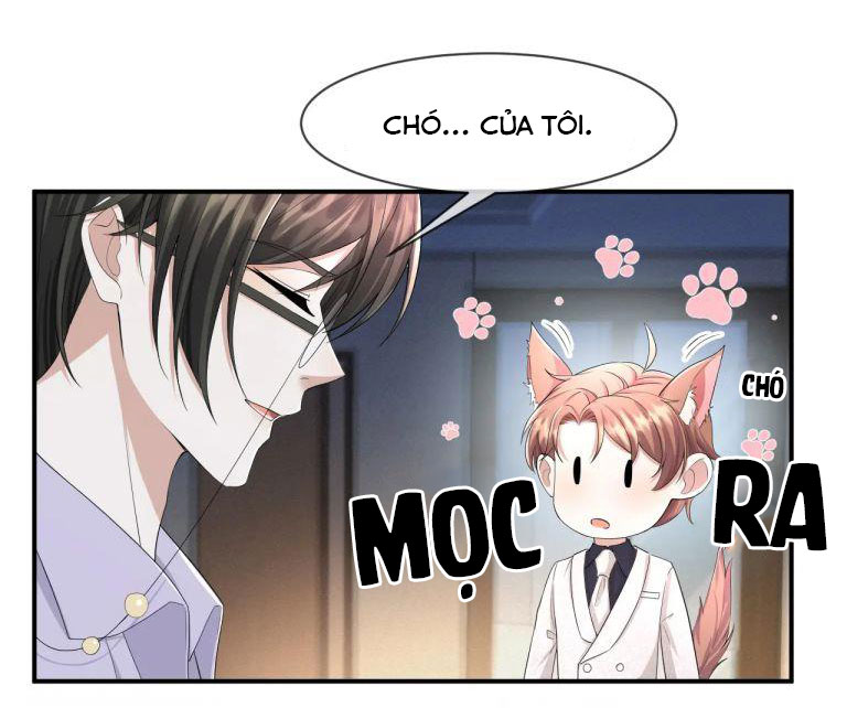 Từ Hôm Nay Bắt Đầu Ngược Tra Nam Chap 67 - Next Chap 68