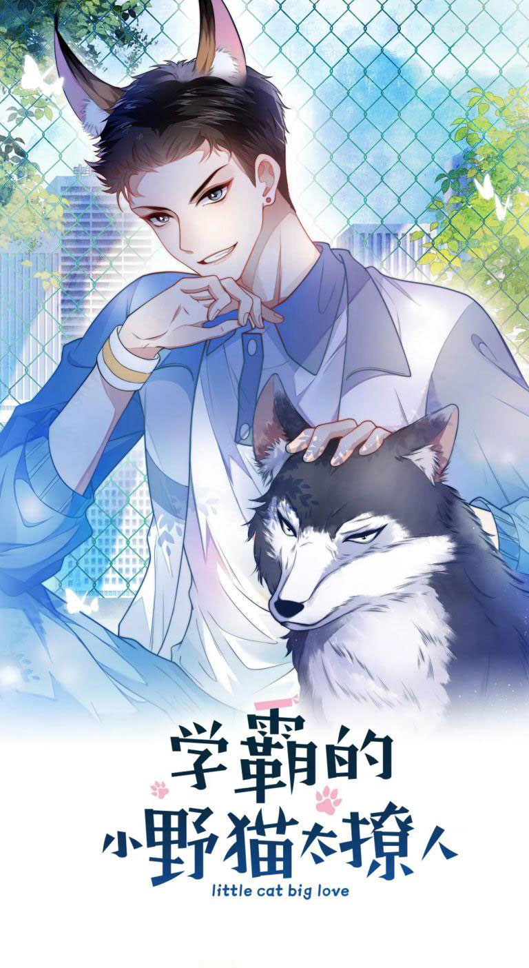 Tiểu Dã Miêu Của Học Bá Thật Trêu Người Chap 27 - Next Chap 28