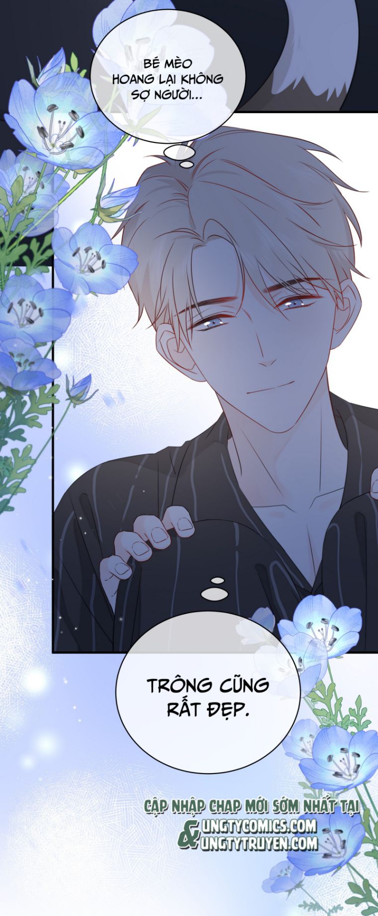 Dinh Dưỡng Quá Tốt Chapter 21 - Next Chapter 22