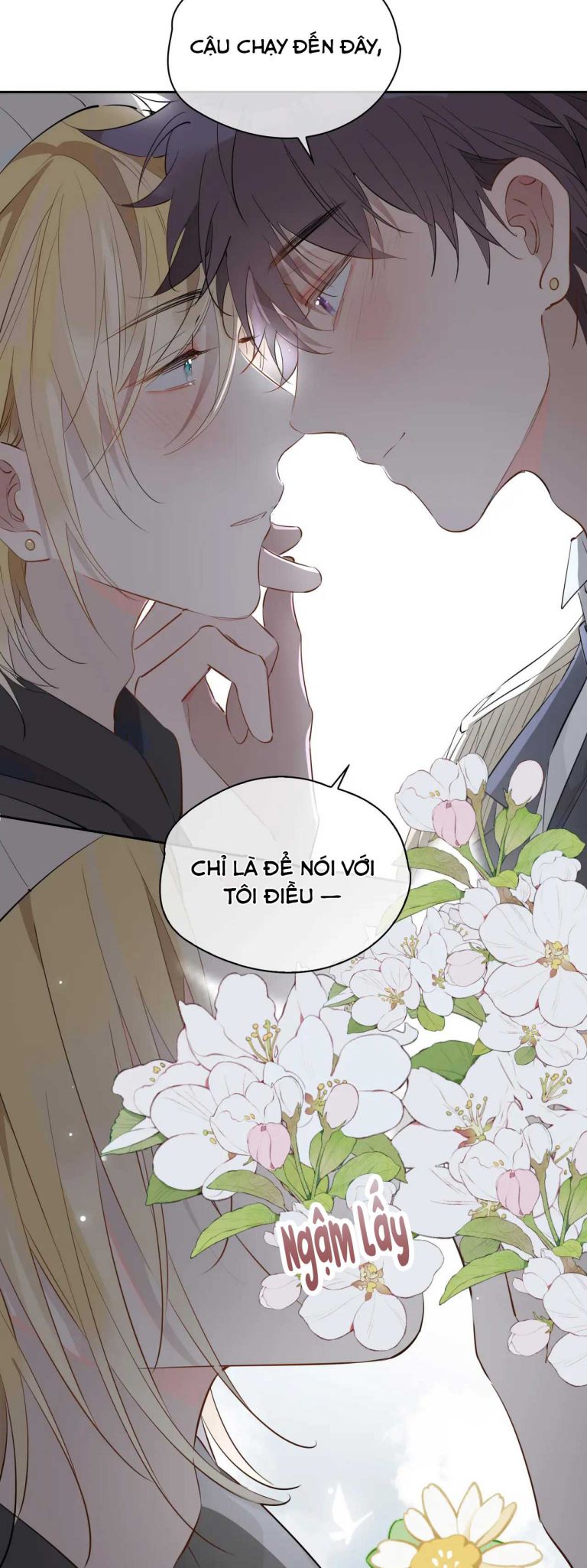 Tình Đầu Của Hoàng Thái Tử Chap 66 - Next Chap 67