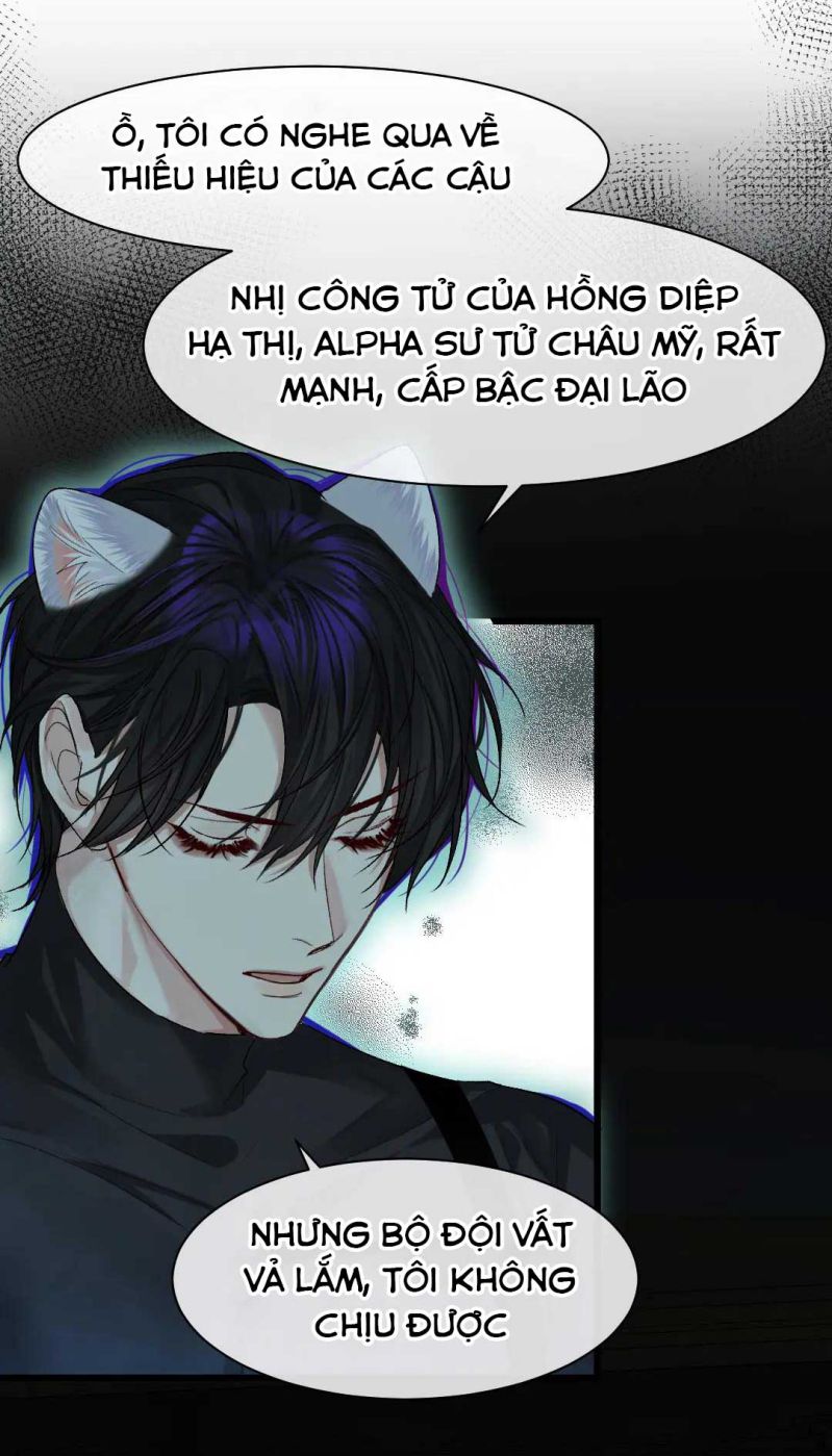 Nhân Ngư Rơi Xuống Chapter 31 - Next Chap 32