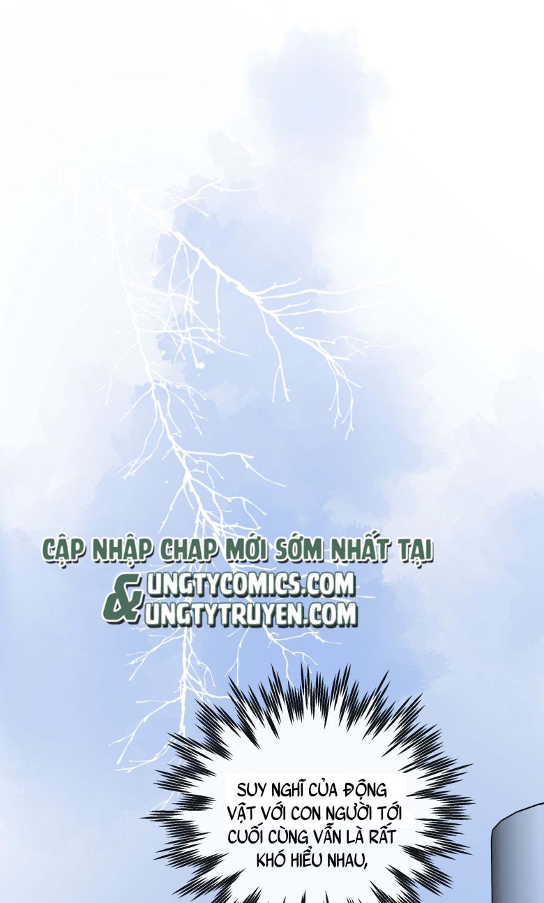 Dinh Dưỡng Quá Tốt Chapter 23 - Next Chapter 24