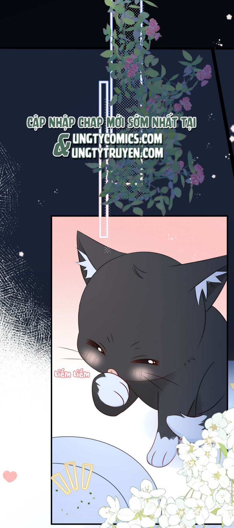 Dinh Dưỡng Quá Tốt Chapter 23 - Next Chapter 24