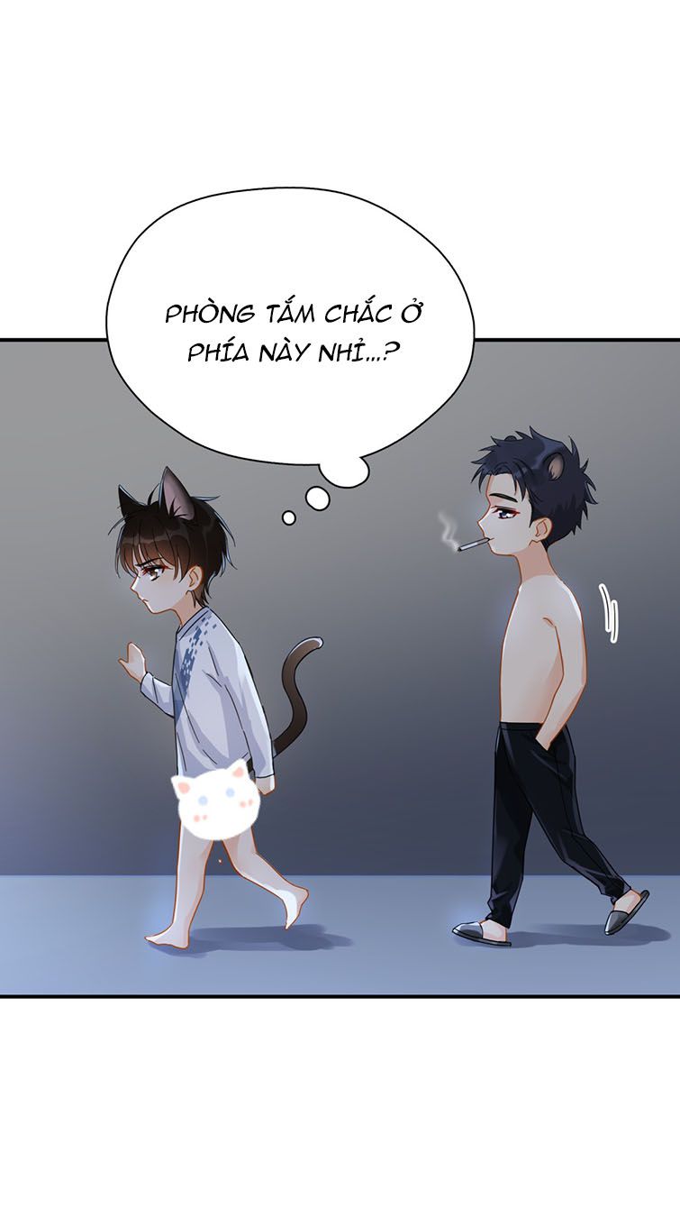 Theo Đuôi Chap 33 - Next Chap 34