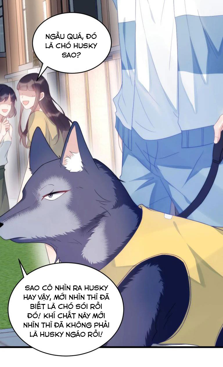 Tiểu Dã Miêu Của Học Bá Thật Trêu Người Chap 33 - Next Chap 34