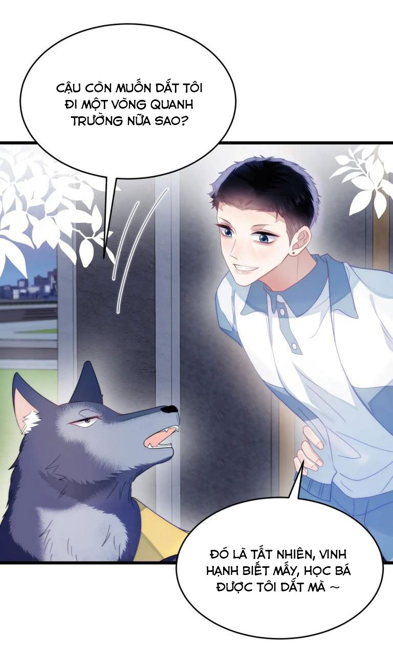 Tiểu Dã Miêu Của Học Bá Thật Trêu Người Chap 33 - Next Chap 34