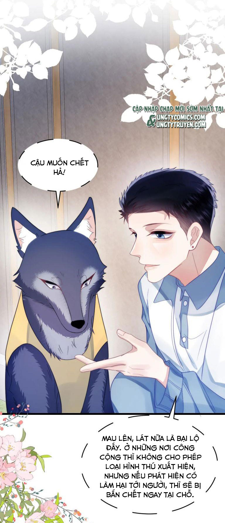 Tiểu Dã Miêu Của Học Bá Thật Trêu Người Chap 33 - Next Chap 34