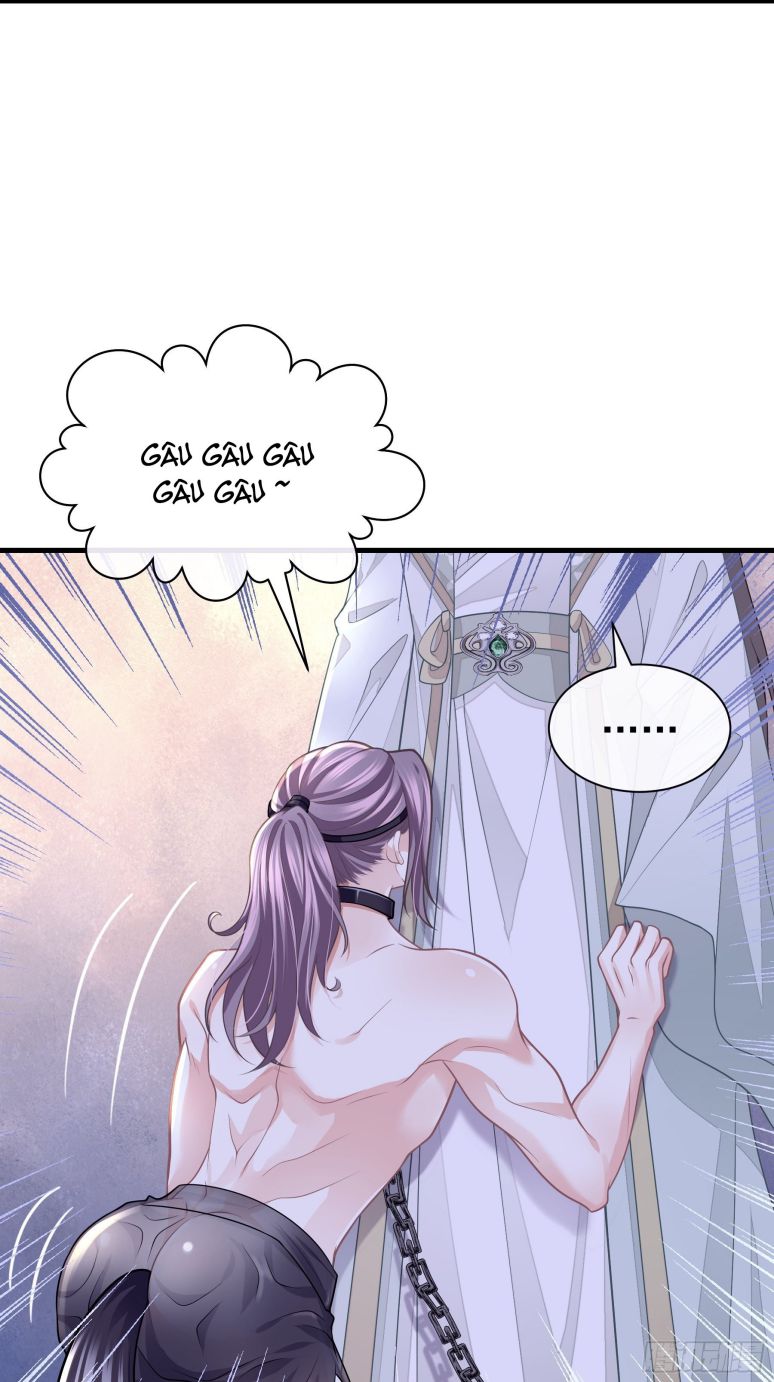 Tôi Nghi Ngờ Hệ Thống Thích Tôi Chap 44 - Next Chap 45