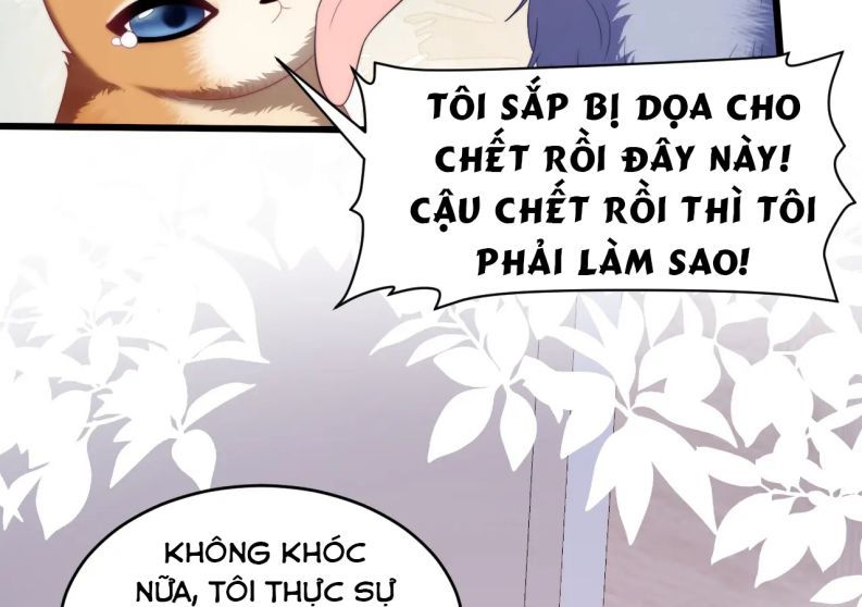 Tiểu Dã Miêu Của Học Bá Thật Trêu Người Chap 35 - Next Chap 36