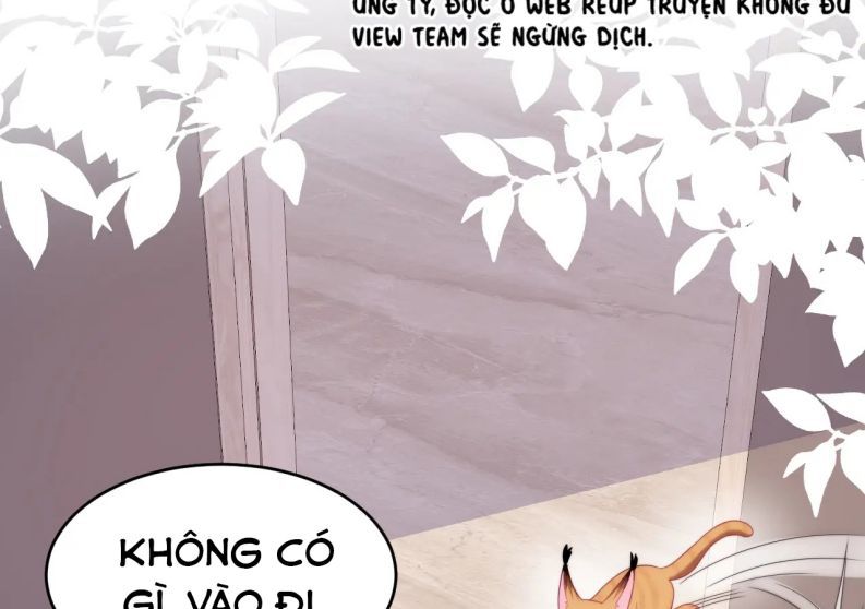 Tiểu Dã Miêu Của Học Bá Thật Trêu Người Chap 35 - Next Chap 36