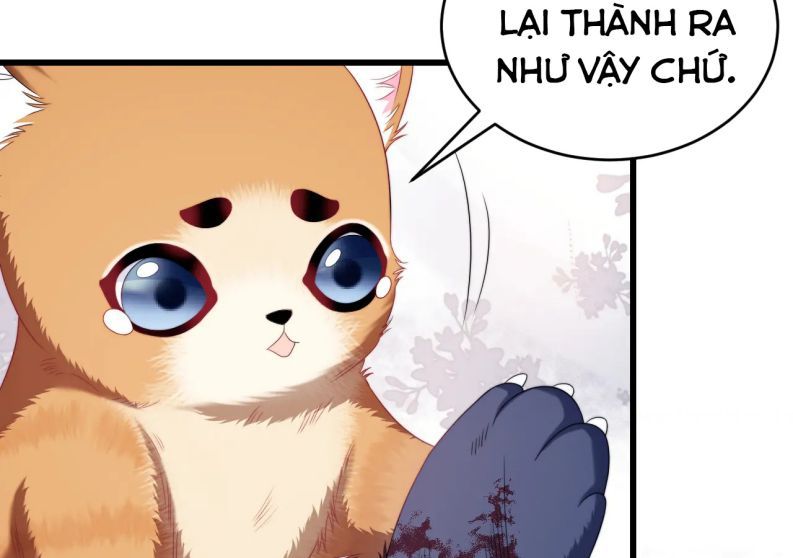 Tiểu Dã Miêu Của Học Bá Thật Trêu Người Chap 35 - Next Chap 36