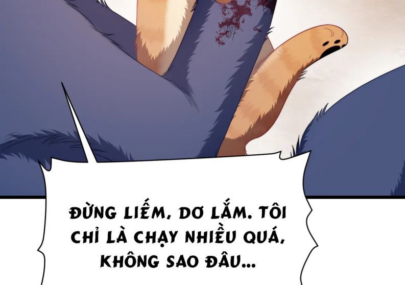 Tiểu Dã Miêu Của Học Bá Thật Trêu Người Chap 35 - Next Chap 36