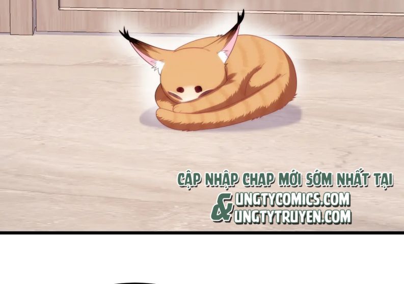 Tiểu Dã Miêu Của Học Bá Thật Trêu Người Chap 35 - Next Chap 36