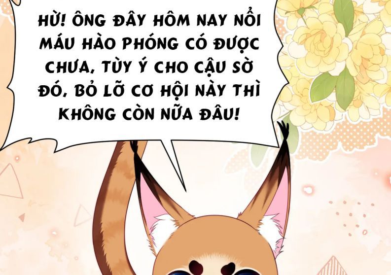 Tiểu Dã Miêu Của Học Bá Thật Trêu Người Chap 35 - Next Chap 36