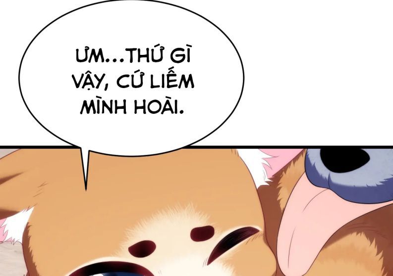 Tiểu Dã Miêu Của Học Bá Thật Trêu Người Chap 35 - Next Chap 36