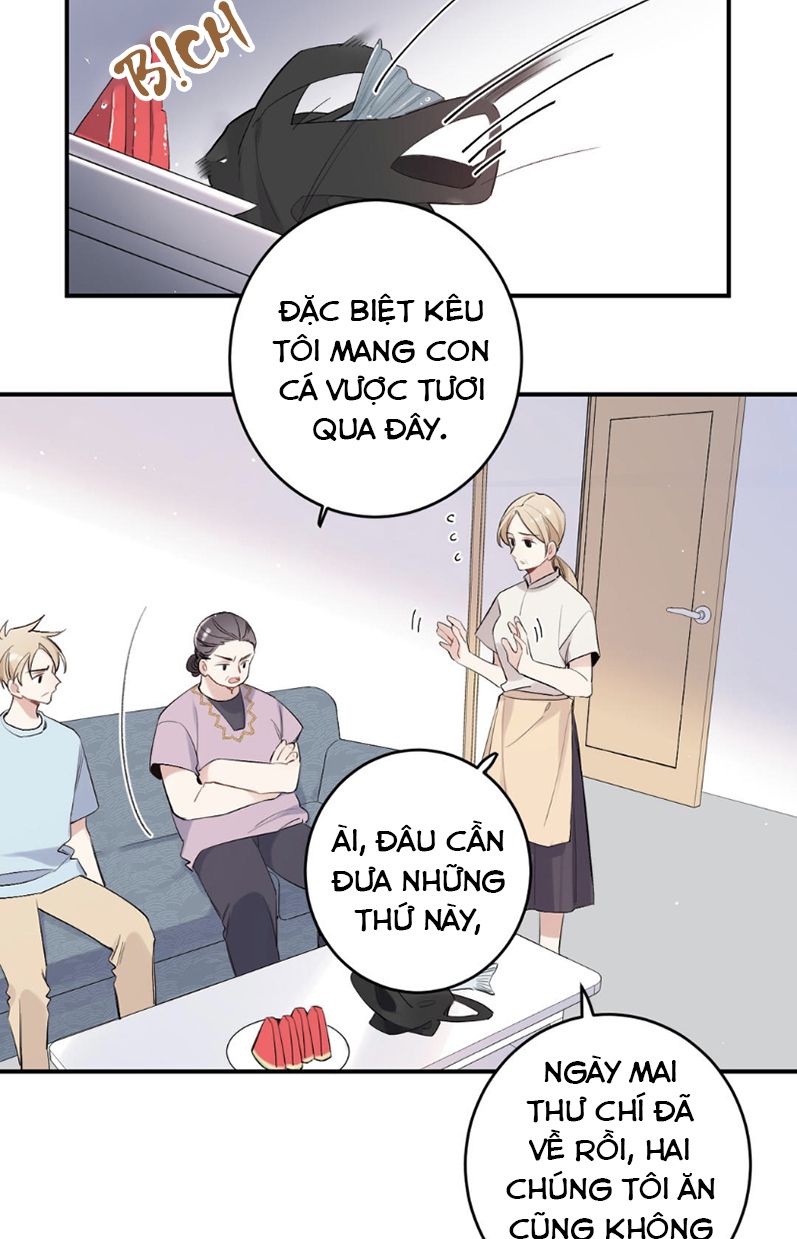 Đối Tượng Sống Chung Là Tình Địch Thì Phải Làm Sao Chap 28 - Next Chap 29