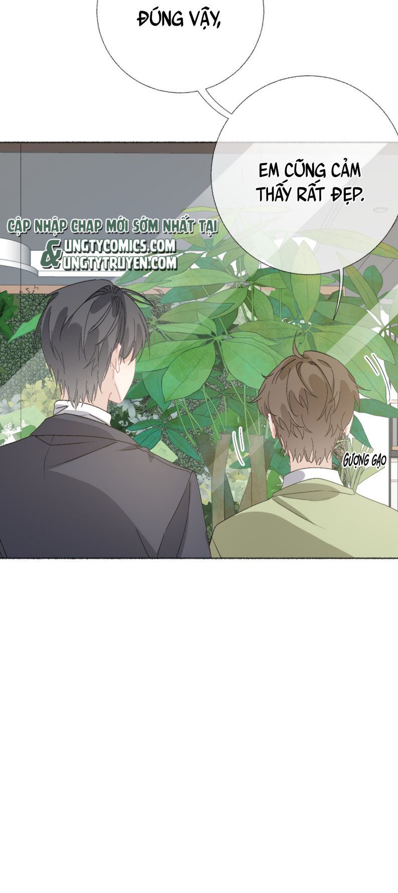 Công Lược Đối Tượng Sai Rồi Chap 39 - Next Chap 40