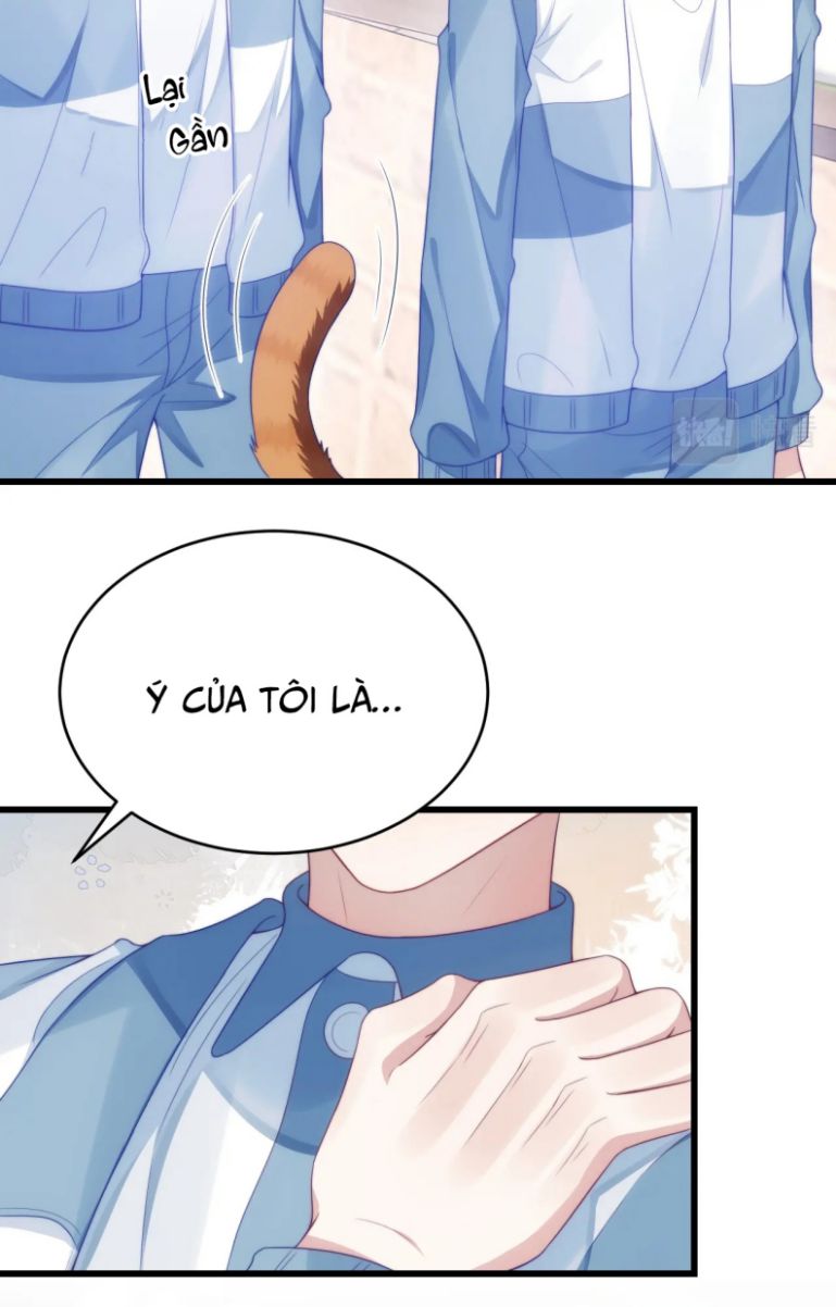 Tiểu Dã Miêu Của Học Bá Thật Trêu Người Chap 37 - Next Chap 38